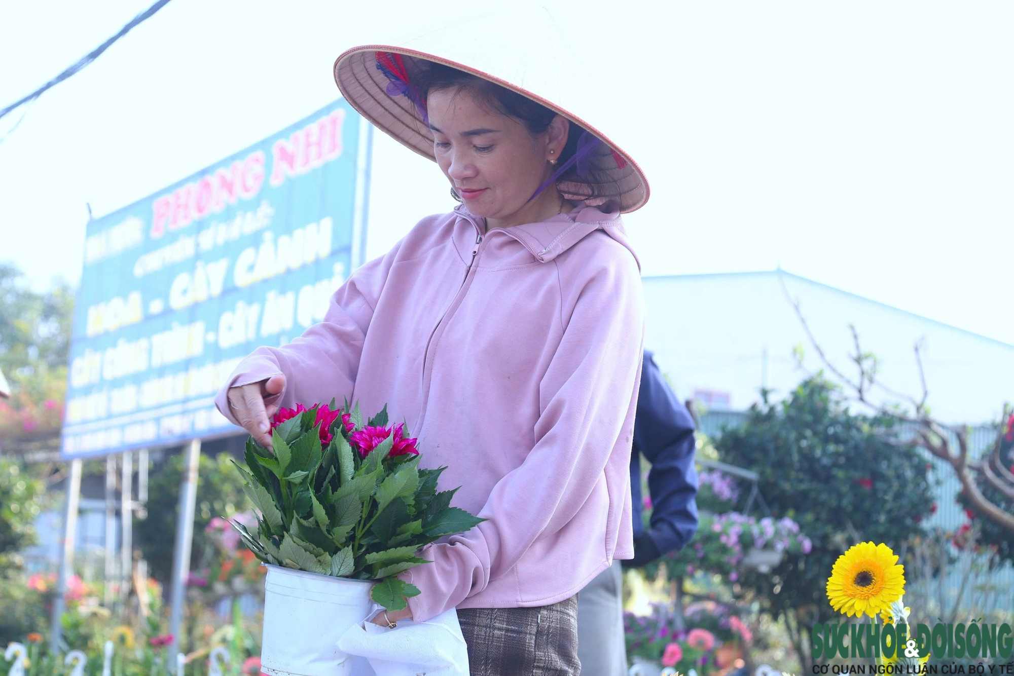 Hoa, cây cảnh tấp nập ven quốc lộ Nghệ An chờ người mua- Ảnh 10.