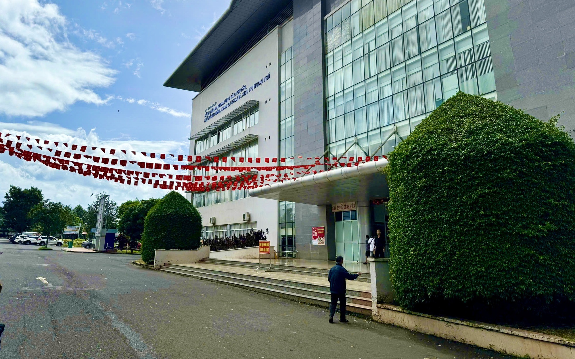 Phường ở Huế lên tiếng về thông tin cây cổ thụ tại khu vực di tích bị cắt tỉa quá mức - Ảnh 2.