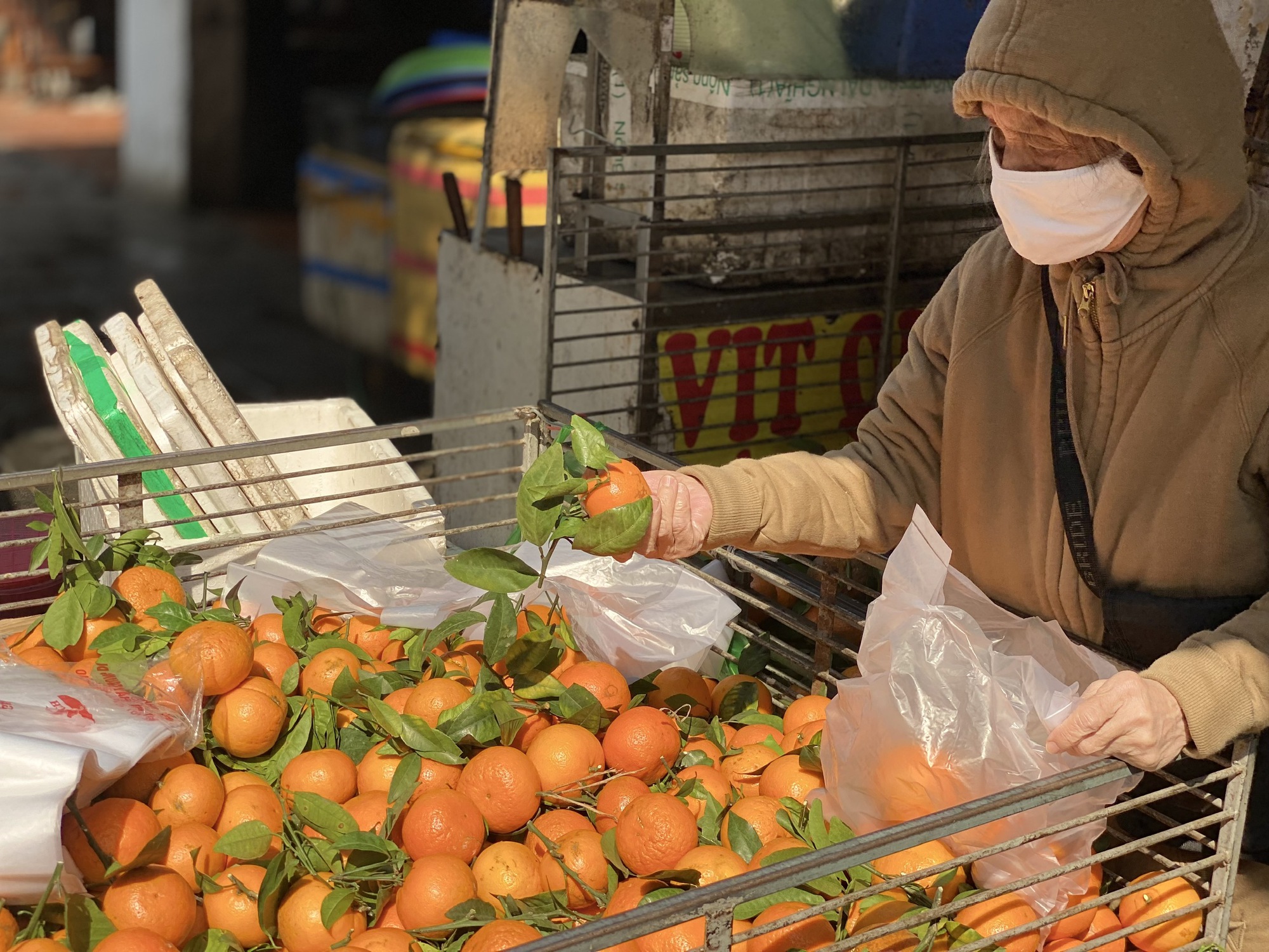 Loại quýt mã rám có gì đặc biệt mà khiến tiểu thương Việt nhập hàng tạ về bán mỗi ngày?- Ảnh 2.