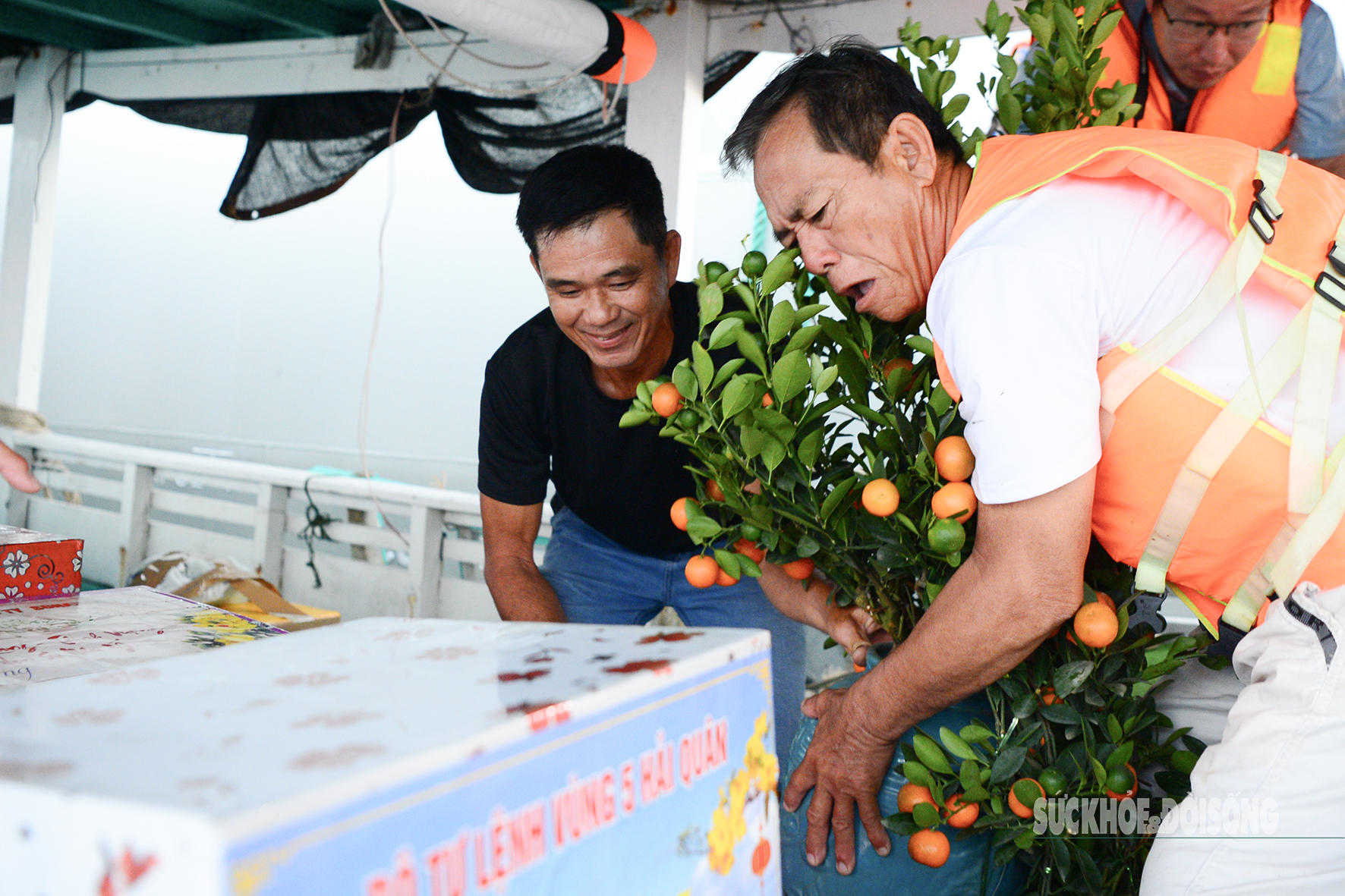 Xuân sớm nơi đảo Hòn Đốc- Ảnh 4.