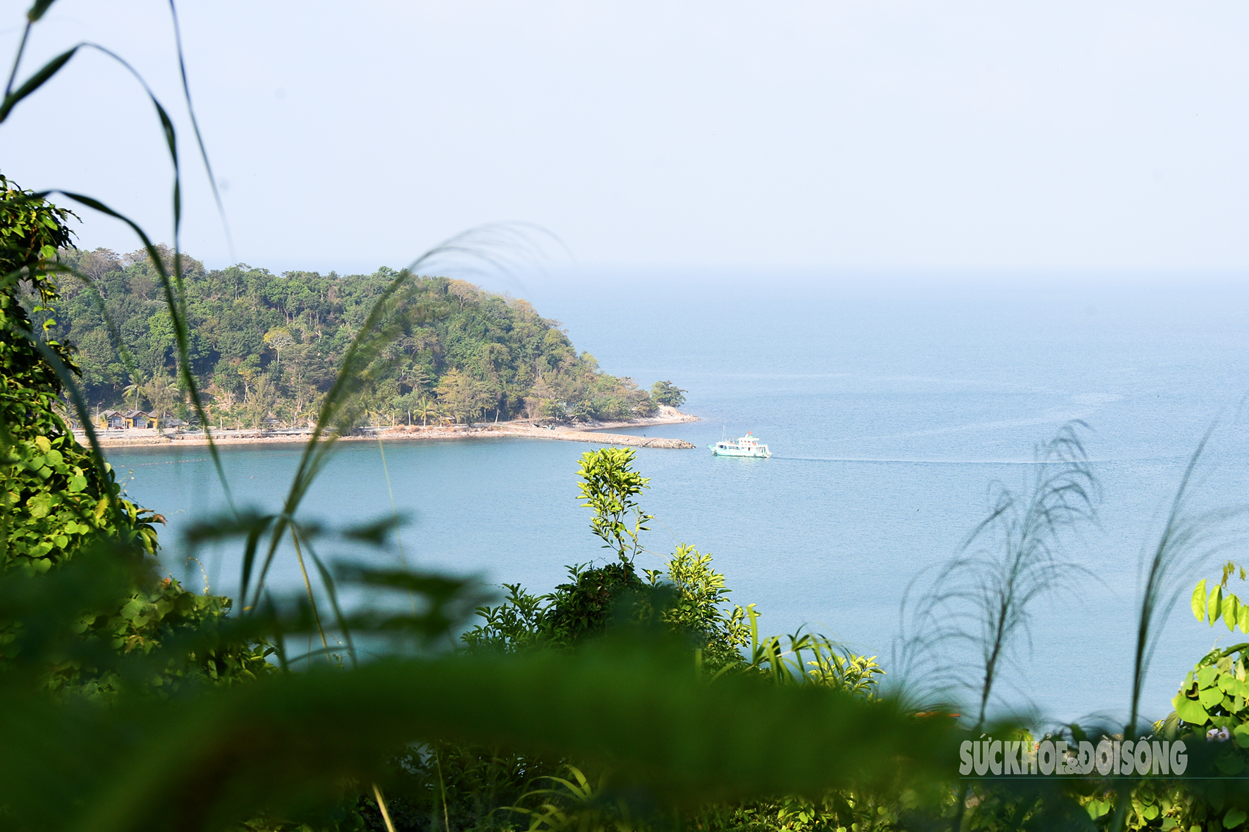 Xuân sớm nơi đảo Hòn Đốc- Ảnh 8.