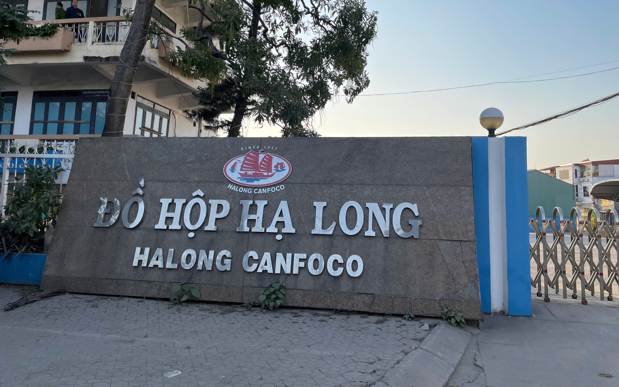 Vụ hơn 130 tấn thịt lợn nhiễm dịch tả châu Phi: Nữ cán bộ kiểm dịch ra đầu thú- Ảnh 3.