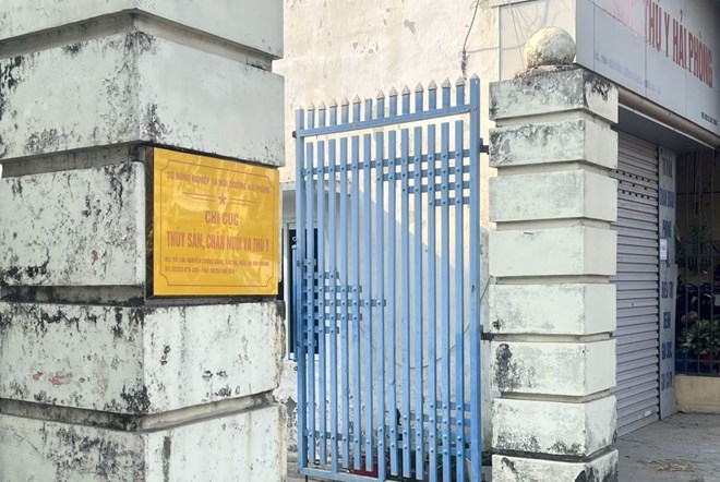 Vụ hơn 130 tấn thịt lợn nhiễm dịch tả châu Phi: Nữ cán bộ kiểm dịch ra đầu thú- Ảnh 1.