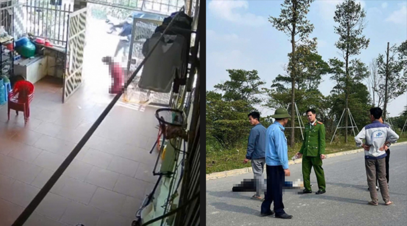 Nghi phạm sát hại 2 người phụ nữ ở Hưng Yên ra đầu thú- Ảnh 1.