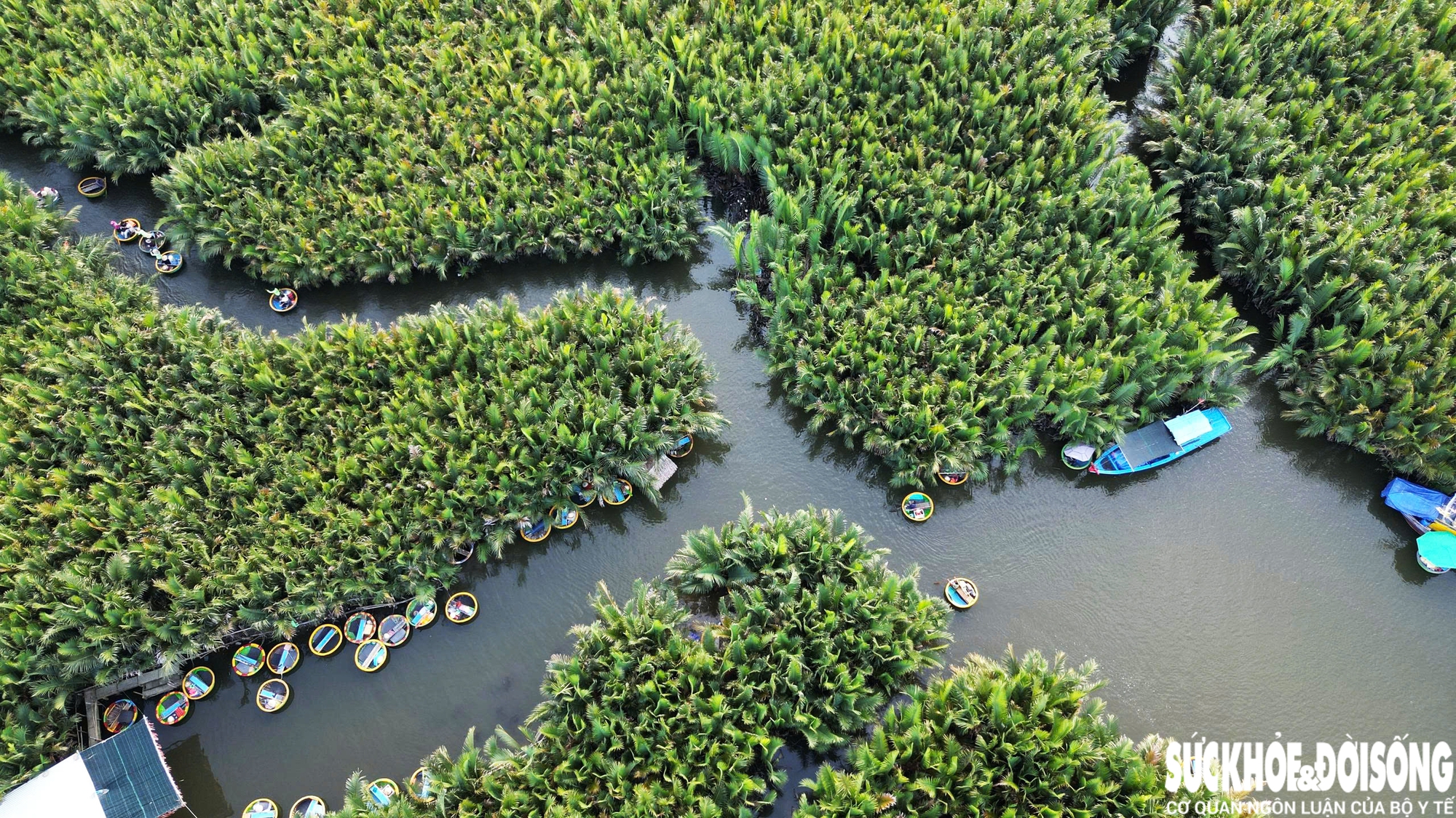 Mãn nhãn với ‘bản giao hưởng’ sông nước Cẩm Thanh, lọt top 50 làng đẹp nhất thế giới- Ảnh 3.