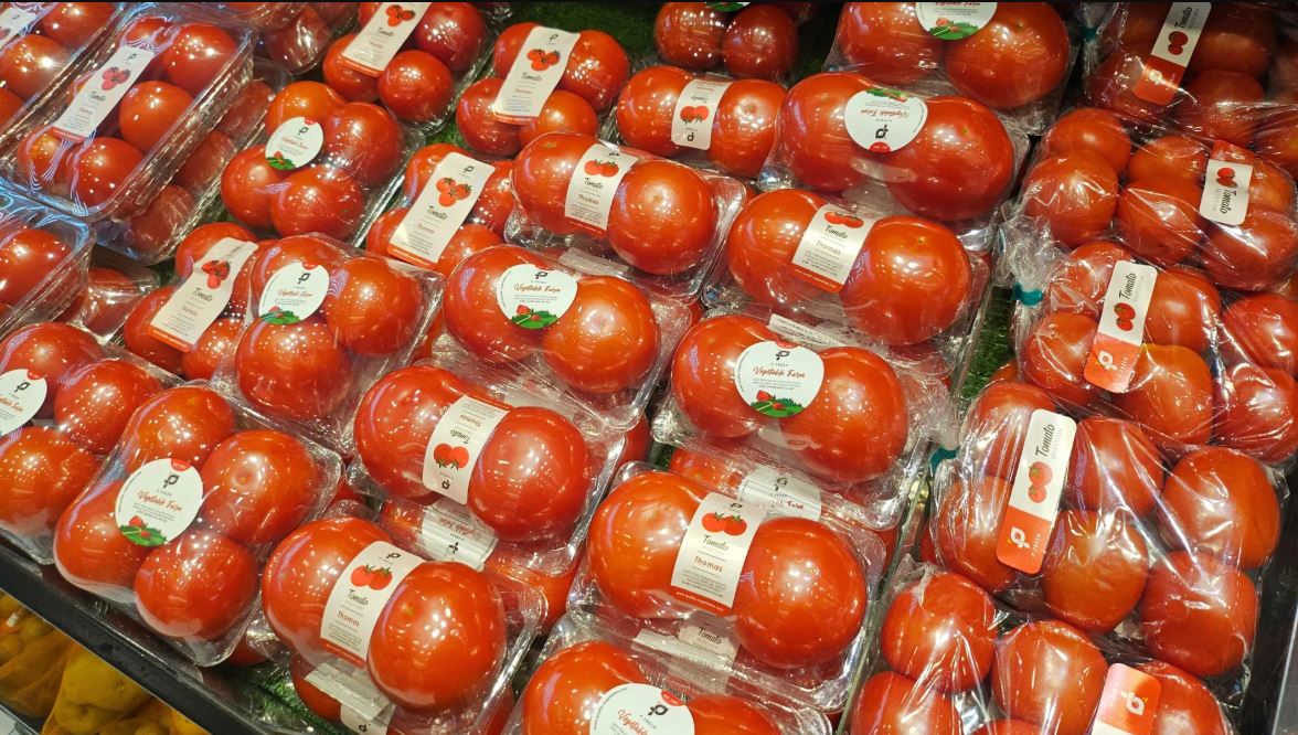 Nghiên cứu cảnh báo sản phẩm 'không chứa BPA' gây hại sức khoẻ sinh sản- Ảnh 1.