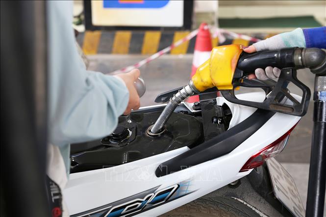 Từ 1/6/2026, Việt Nam sẽ chính thức chuyển sang sử dụng xăng sinh học- Ảnh 1.