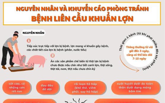 Cứu sống bệnh nhân suy đa tạng nguy kịch do nhiễm liên cầu lợn- Ảnh 3. Ngành Y tế khuyến cáo thay đổi thói quen ăn uống để phòng liên cầu lợn
