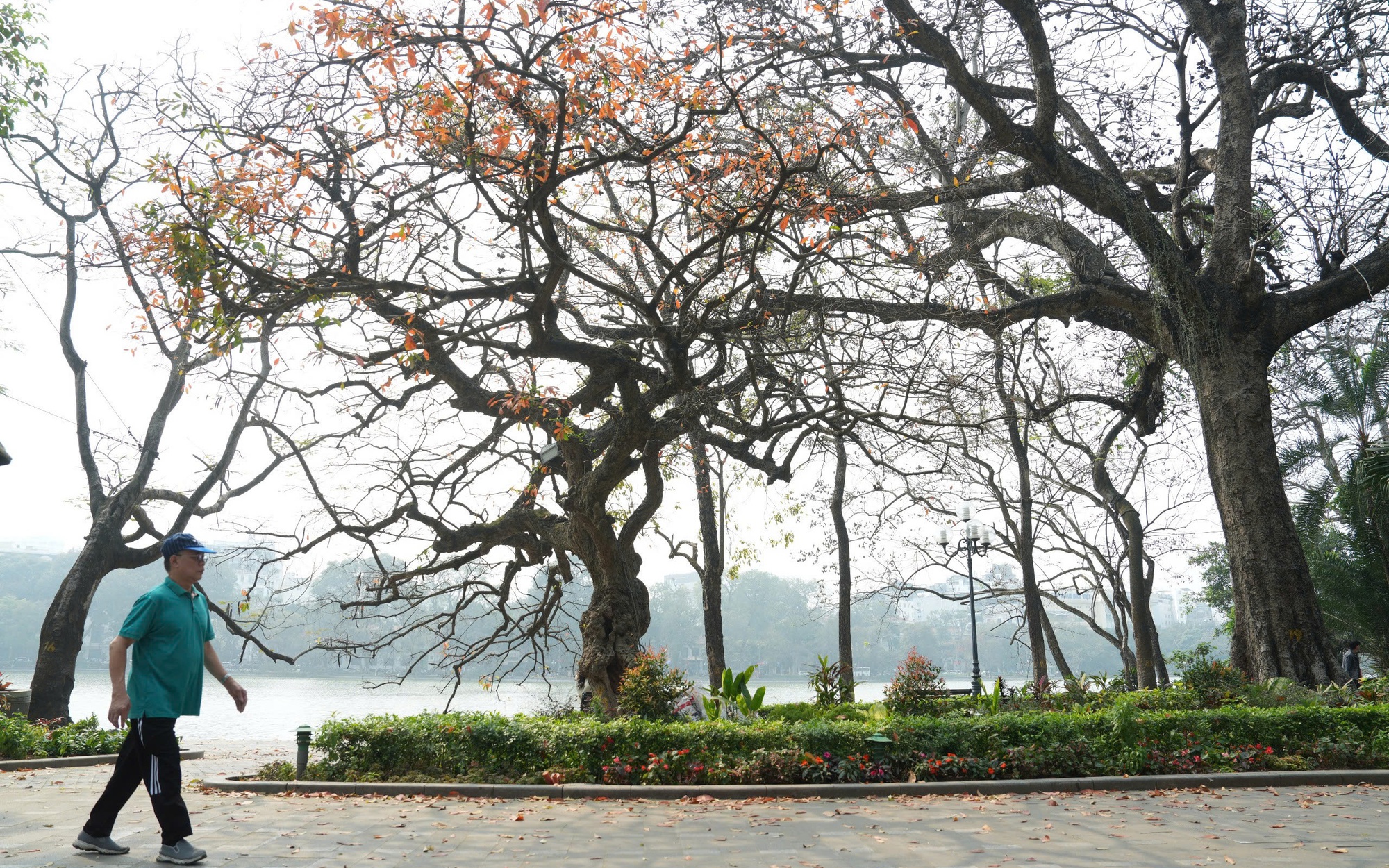 Miền Bắc hửng nắng ấm trước khi đón không khí lạnh mạnh