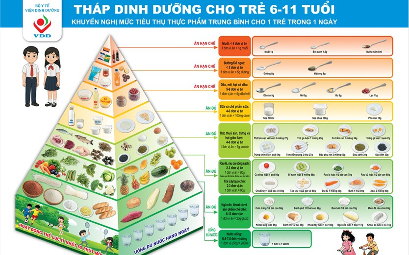 Dinh dưỡng học đường theo tháp dinh dưỡng: Nền tảng cho thể lực, trí lực và tầm vóc tương lai