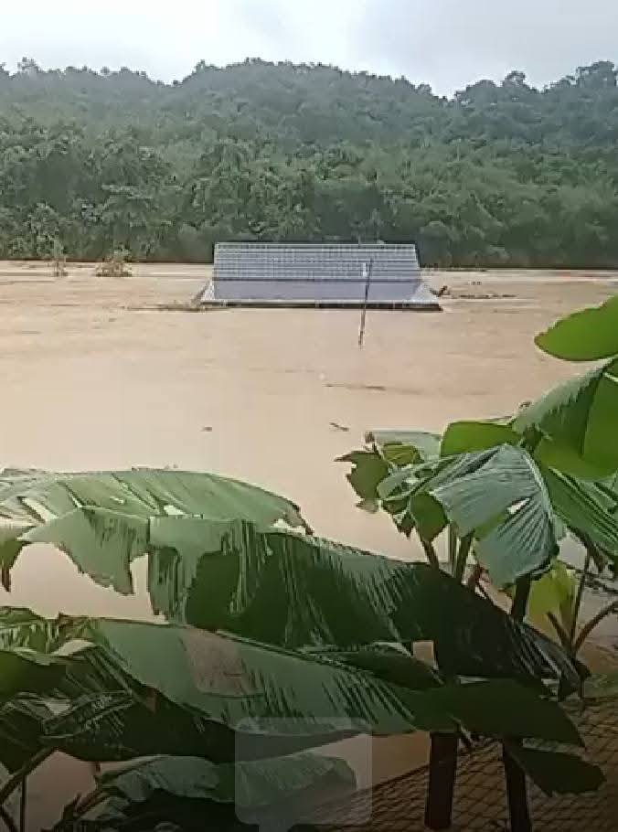 'Tết ấm vùng cao' - khi yêu thương vượt núi, băng rừng về với miền Tây xứ Nghệ- Ảnh 2.