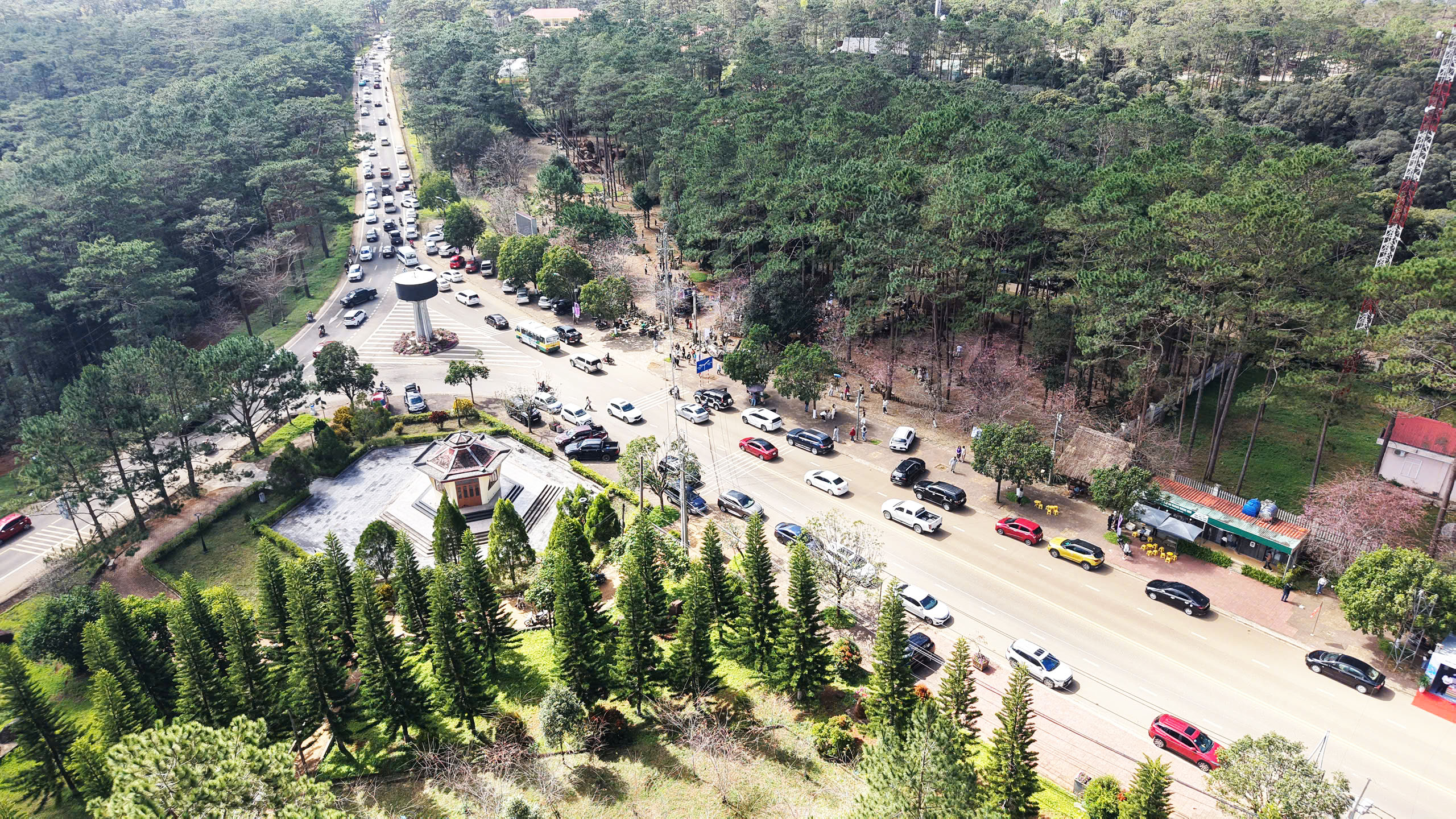 Mãn nhãn với sắc hoa anh đào đang nở rộ ở Măng Đen - Ảnh 1.