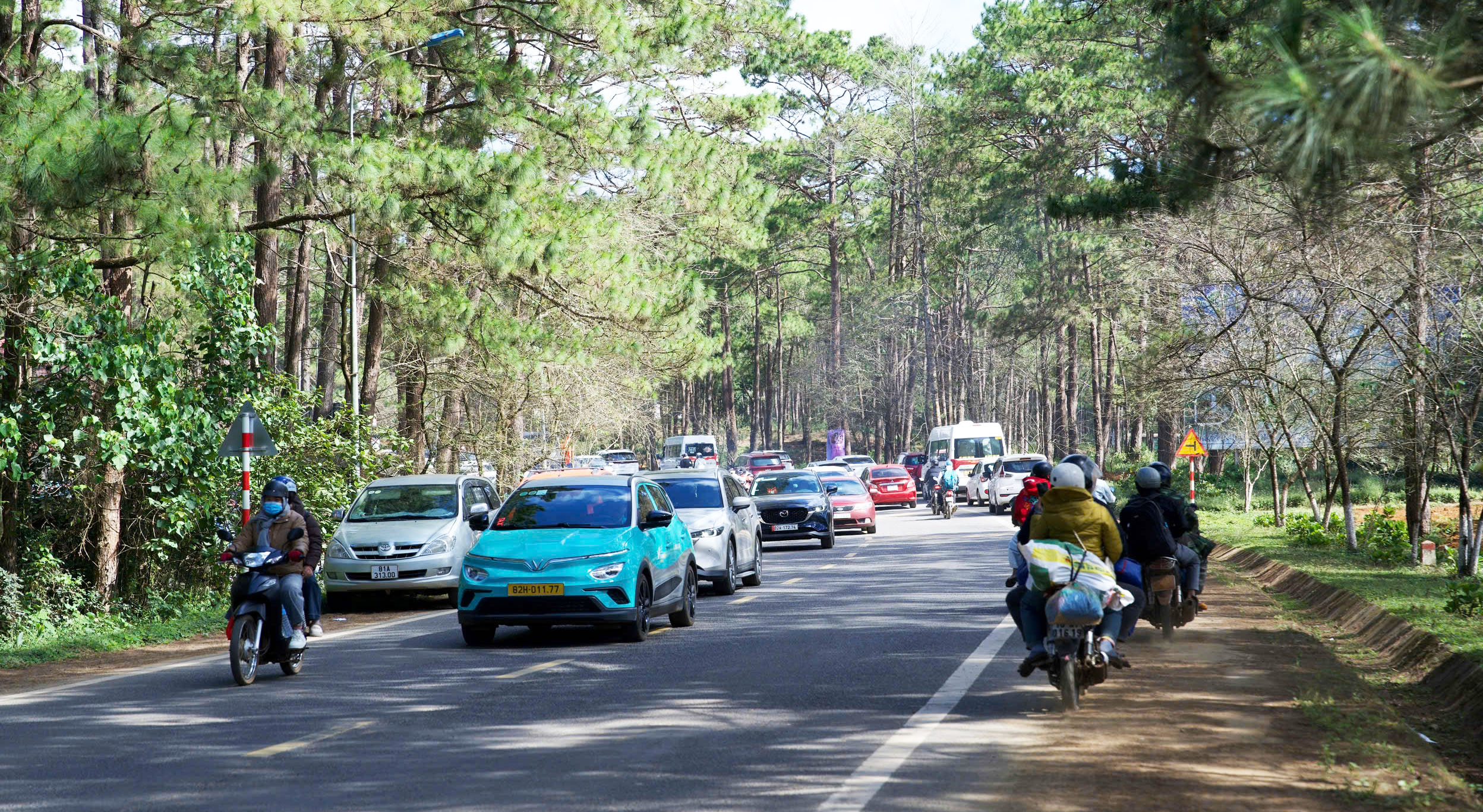 Mãn nhãn với sắc hoa anh đào đang nở rộ ở Măng Đen - Ảnh 2.