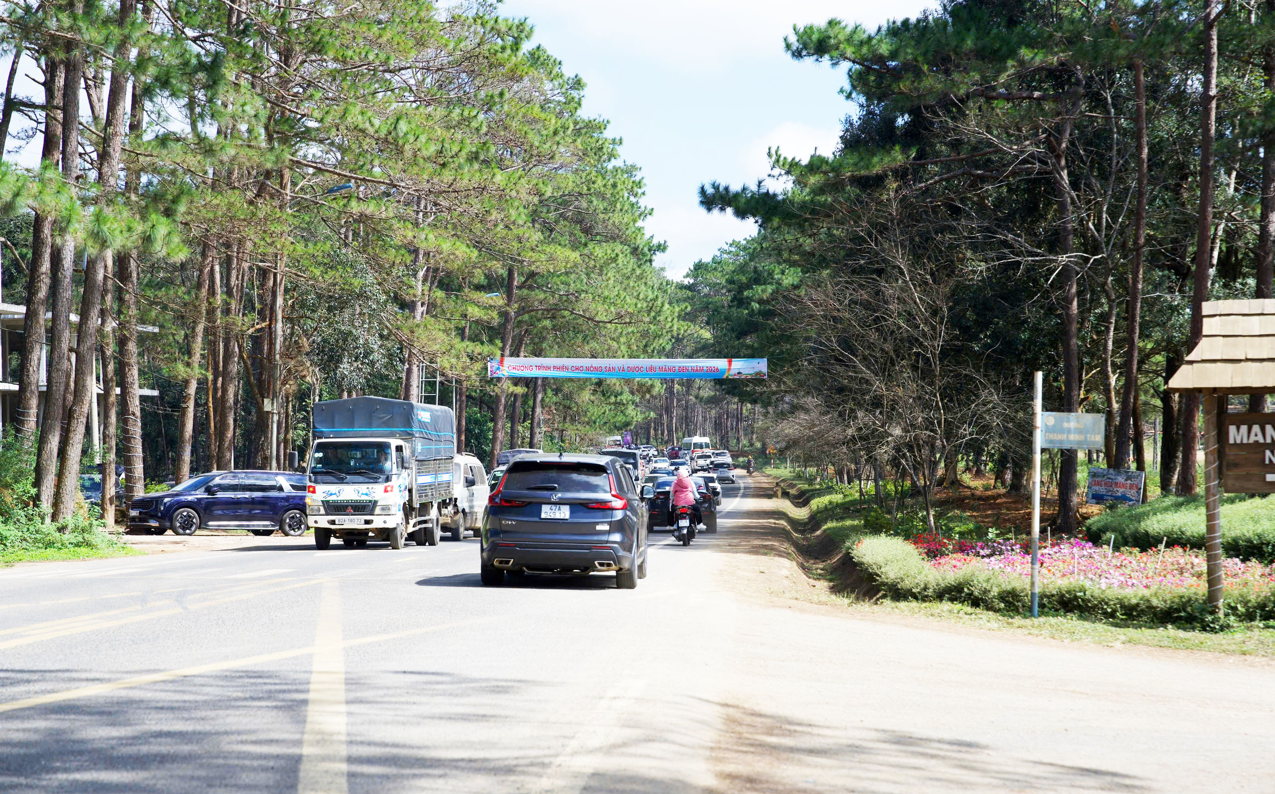 Mãn nhãn với sắc hoa anh đào đang nở rộ ở Măng Đen - Ảnh 3.