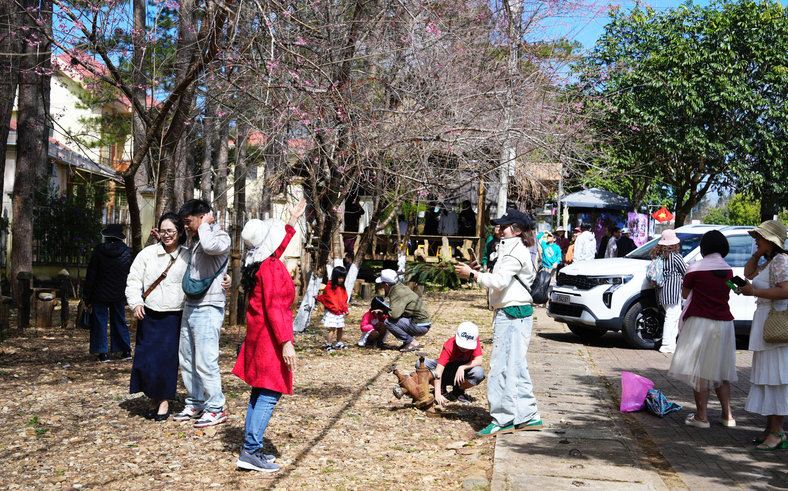 Mãn nhãn với sắc hoa anh đào đang nở rộ ở Măng Đen - Ảnh 9.