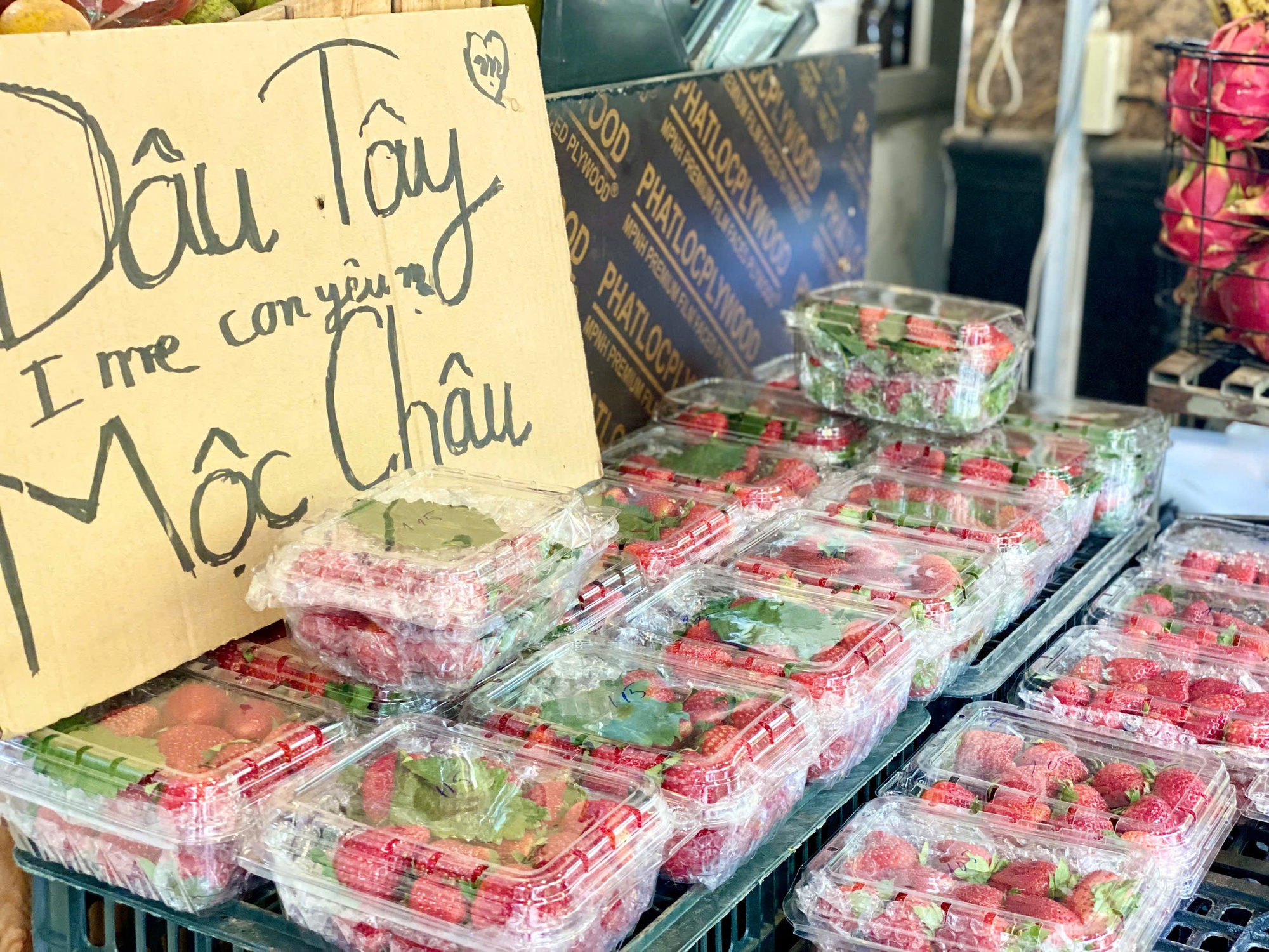 Tiểu thương lý giải nguyên nhân giá dâu tây Mộc Châu lên tới nửa triệu đồng/kg- Ảnh 3. Tiểu thương lý giải nguyên nhân giá dâu tây Mộc Châu lên tới nửa triệu đồng/kg- Ảnh 3.