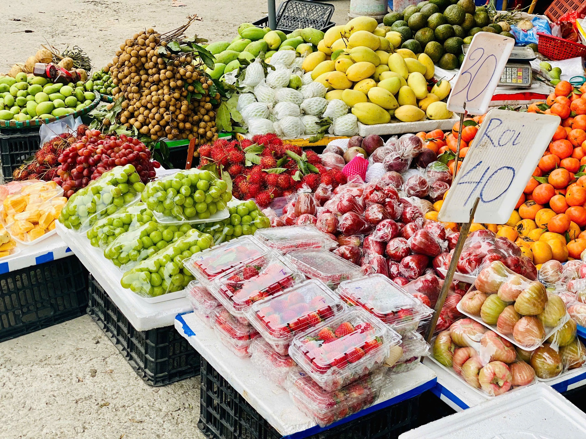 Tiểu thương lý giải nguyên nhân giá dâu tây Mộc Châu lên tới nửa triệu đồng/kg- Ảnh 1. Tiểu thương lý giải nguyên nhân giá dâu tây Mộc Châu lên tới nửa triệu đồng/kg- Ảnh 1.