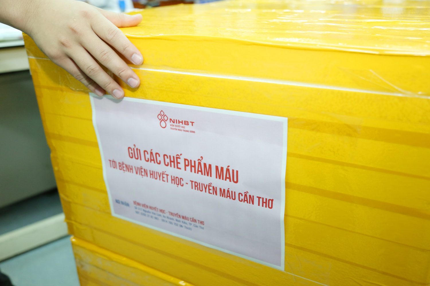 Hành trình đồng hành vì sự sống người bệnh- Ảnh 1. Hành trình đồng hành vì sự sống người bệnh- Ảnh 1.