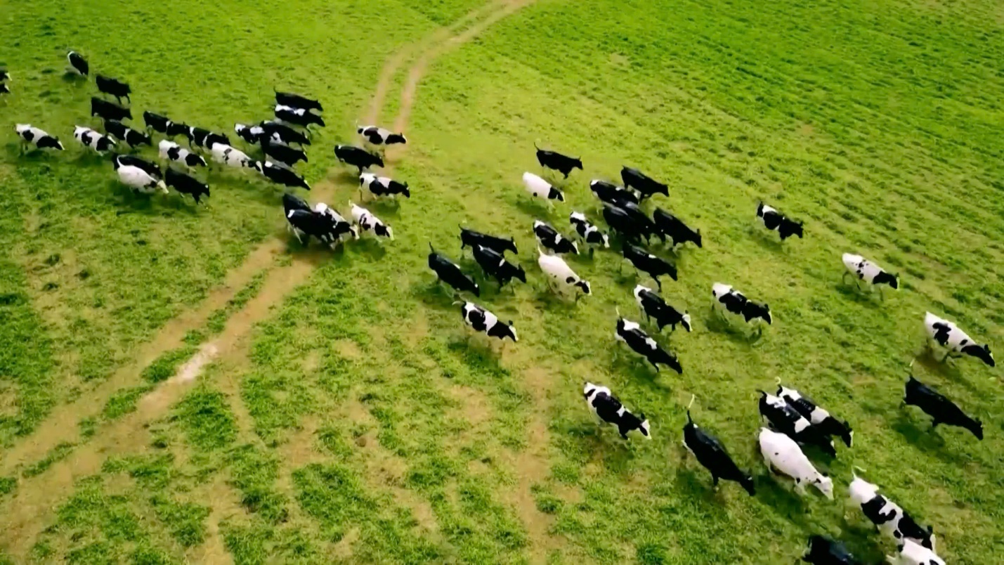 Tập đoàn TH: Khi đổi mới sáng tạo làm nên nội lực của một tập thể anh hùng- Ảnh 1.