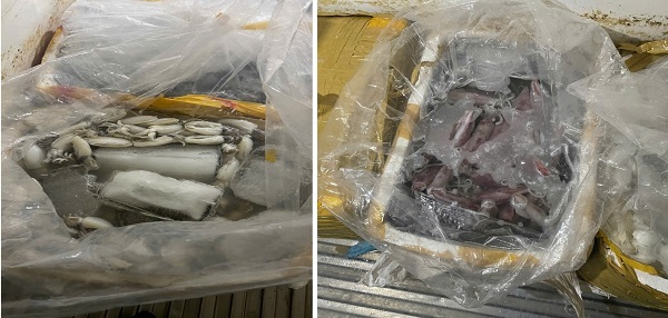 Ngăn chặn hơn 580kg thủy sản không rõ nguồn gốc sắp đưa ra thị trường- Ảnh 1.