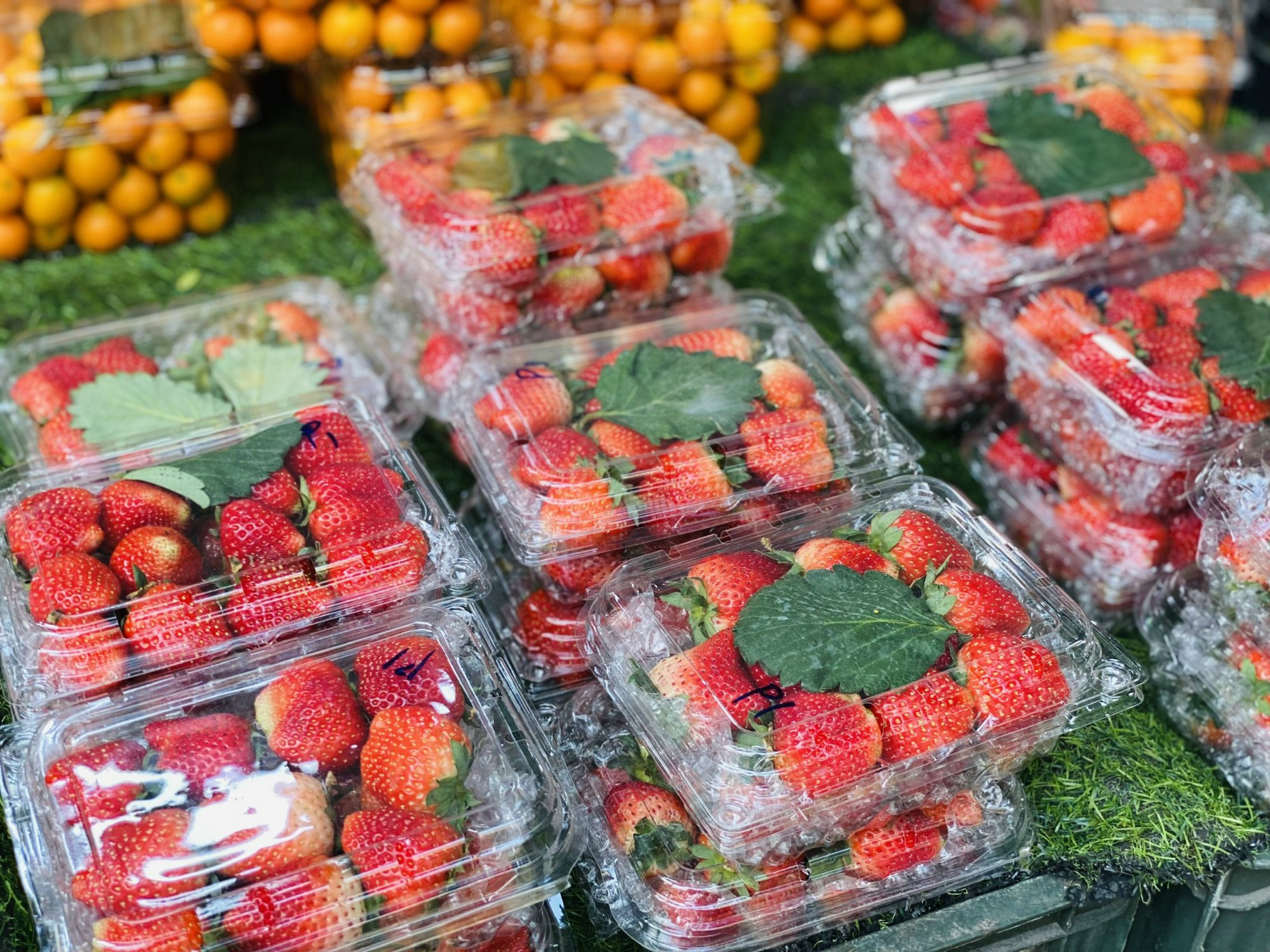 Loại quả trước đây chỉ 'nhà giàu' mới dám ăn giờ bán đầy vỉa hè giá rẻ khó tin- Ảnh 4.