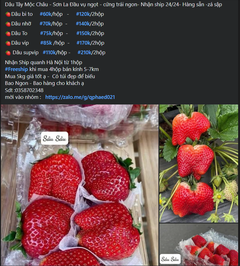 Loại quả trước đây chỉ 'nhà giàu' mới dám ăn giờ bán đầy vỉa hè giá rẻ khó tin- Ảnh 2.