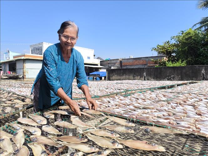 Làng nghề cá khô ven biển tăng công suất gấp 3 lần phục vụ Tết- Ảnh 1. Làng nghề cá khô ven biển tăng công suất gấp 3 lần phục vụ Tết- Ảnh 1.