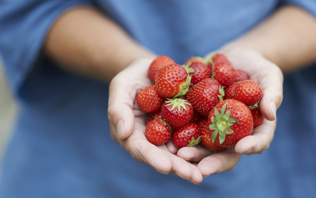 Bí kíp ăn dâu tây giúp giảm cân, trắng da ‘siêu tốc’ cho chị em đón Tết- Ảnh 4.