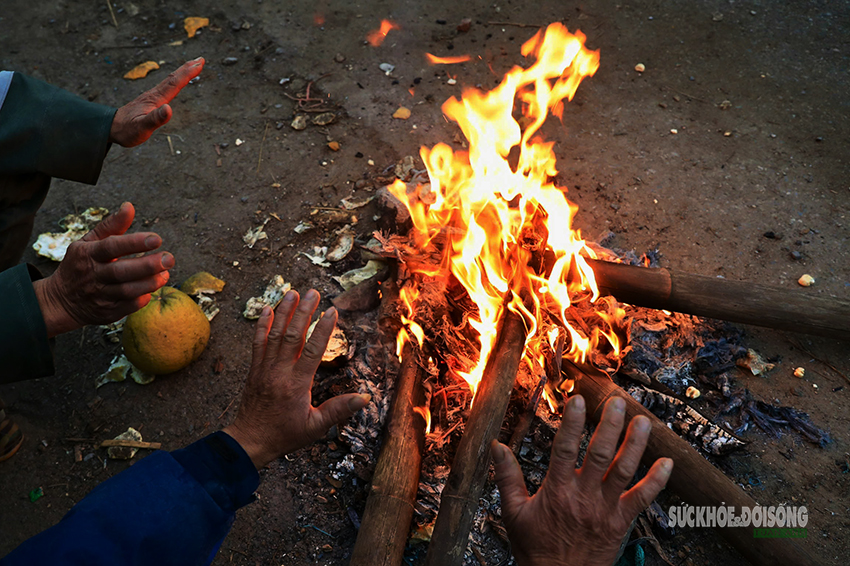 Rét 9°C, nông dân Hà Nội trùm áo mưa ra đồng chăm hoa Tết- Ảnh 10. Rét 9°C, nông dân Hà Nội trùm áo mưa ra đồng chăm hoa Tết- Ảnh 10.