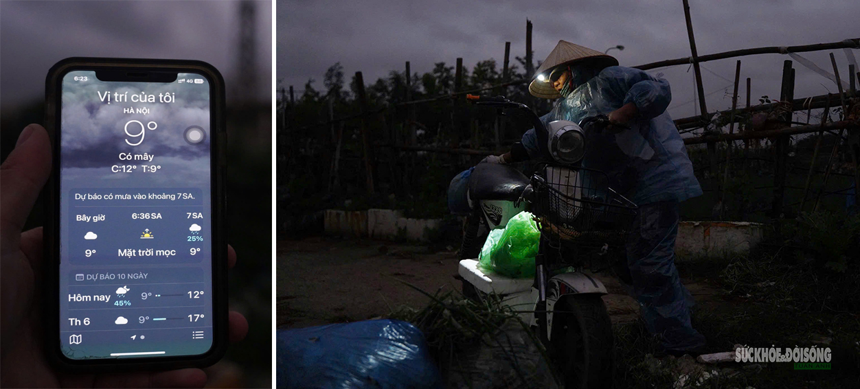 Rét 9°C, nông dân Hà Nội trùm áo mưa ra đồng chăm hoa Tết- Ảnh 1. Rét 9°C, nông dân Hà Nội trùm áo mưa ra đồng chăm hoa Tết- Ảnh 1.