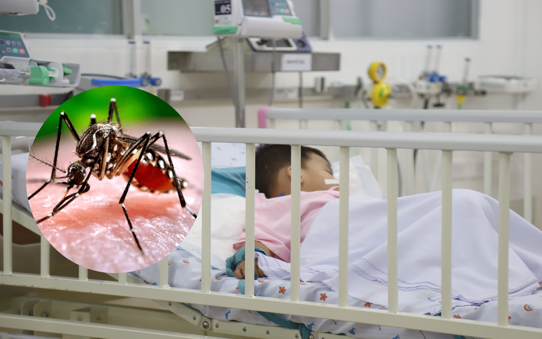 Số ca mắc sốt xuất huyết, tay chân miệng ở TPHCM giảm nhưng nguy cơ vẫn hiện hữu