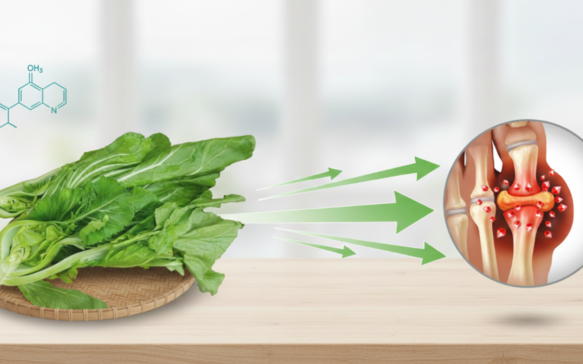 Tại sao rau cải bẹ xanh là thực phẩm hàng đầu giúp đào thải axit uric cho người bệnh gút?