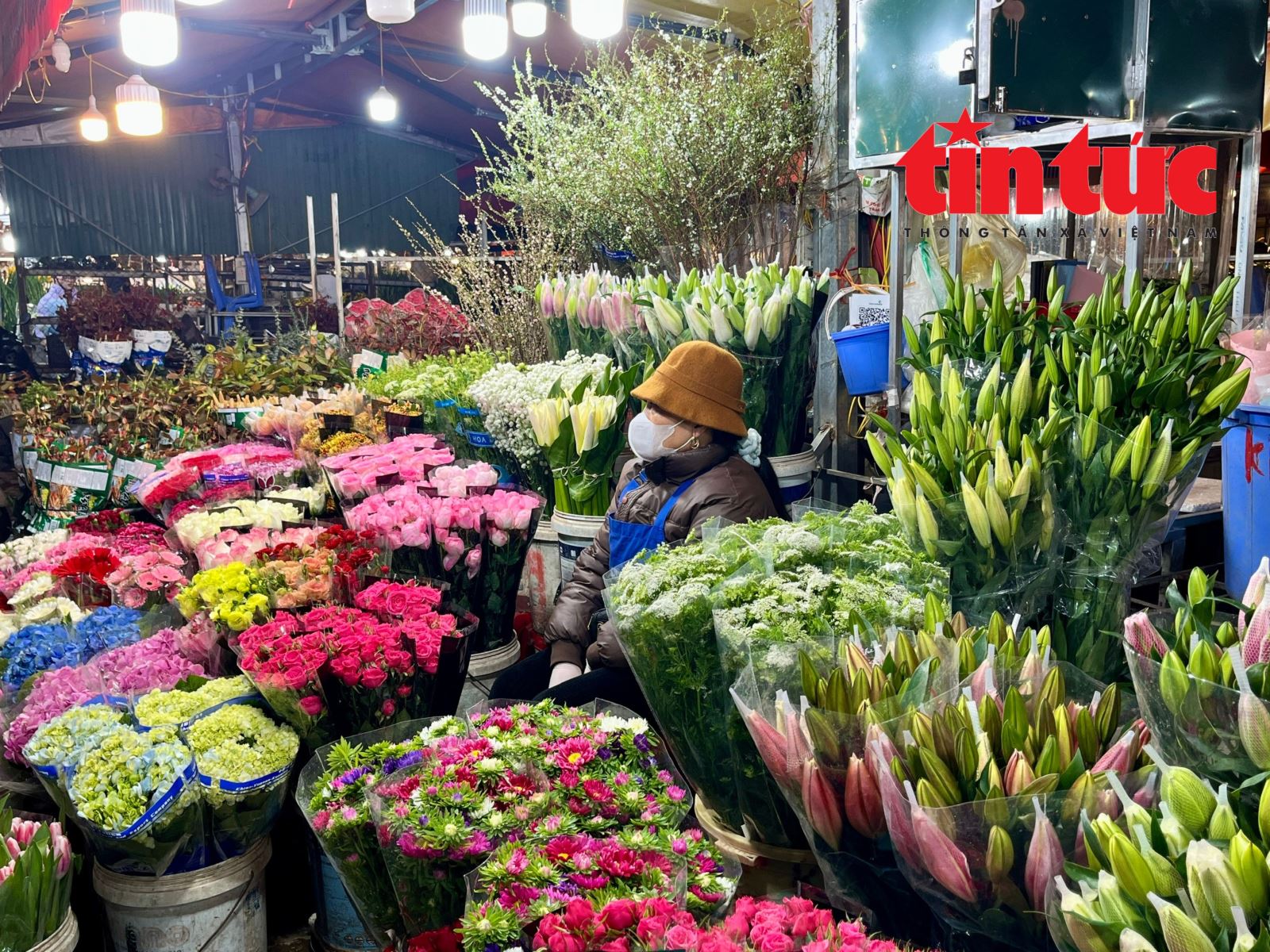 Giá hoa Tết Bính Ngọ có xu hướng tăng- Ảnh 1.