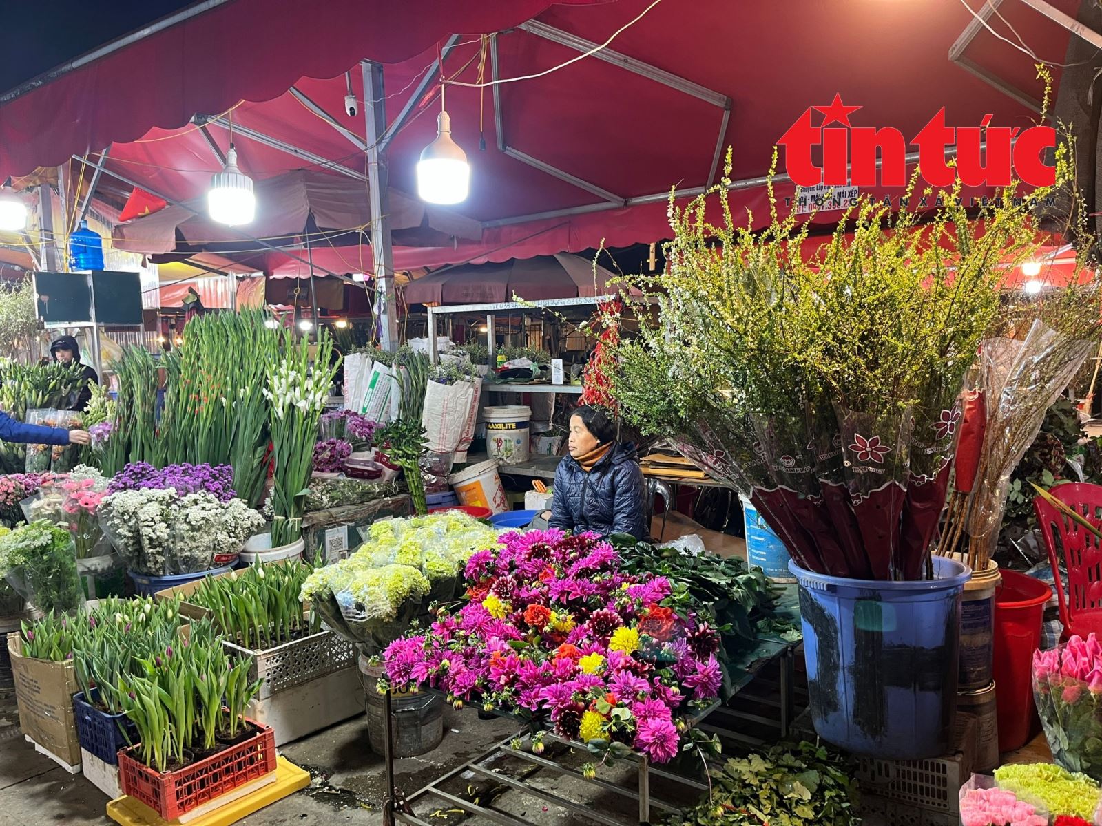 Giá hoa Tết Bính Ngọ có xu hướng tăng- Ảnh 3.