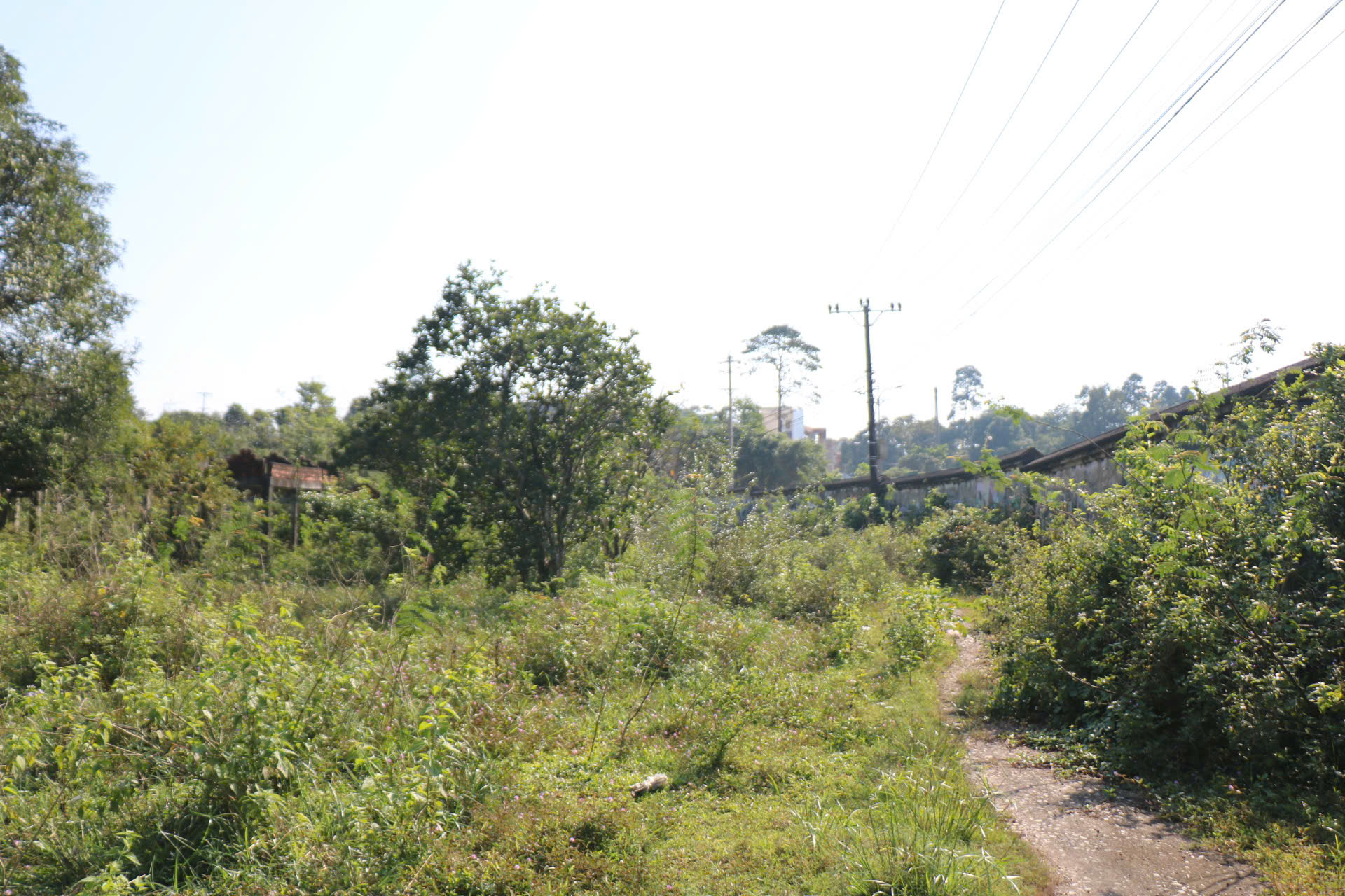 Cận cảnh khu đất sắp đấu giá làm dự án du lịch nghỉ dưỡng cao cấp ở Huế- Ảnh 10.