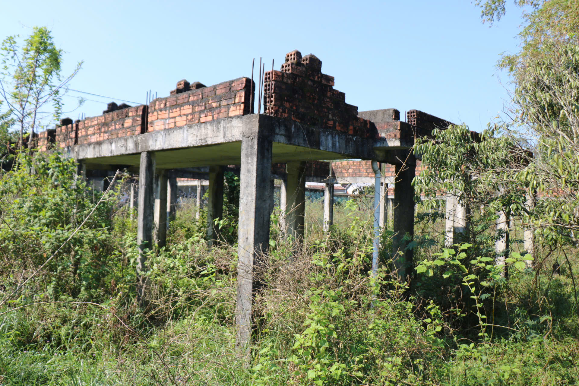 Cận cảnh khu đất sắp đấu giá làm dự án du lịch nghỉ dưỡng cao cấp ở Huế- Ảnh 8.