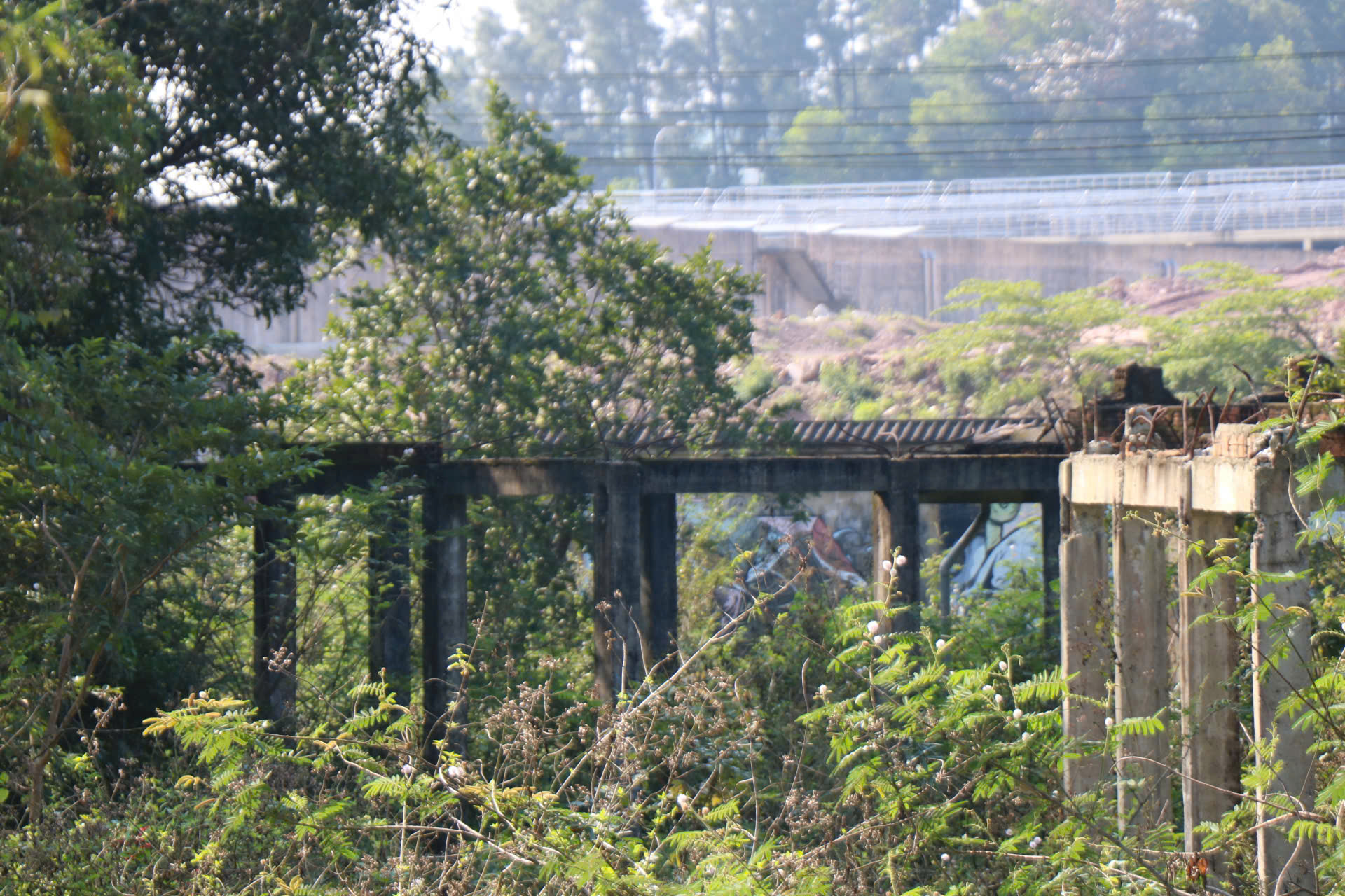 Cận cảnh khu đất sắp đấu giá làm dự án du lịch nghỉ dưỡng cao cấp ở Huế- Ảnh 9.