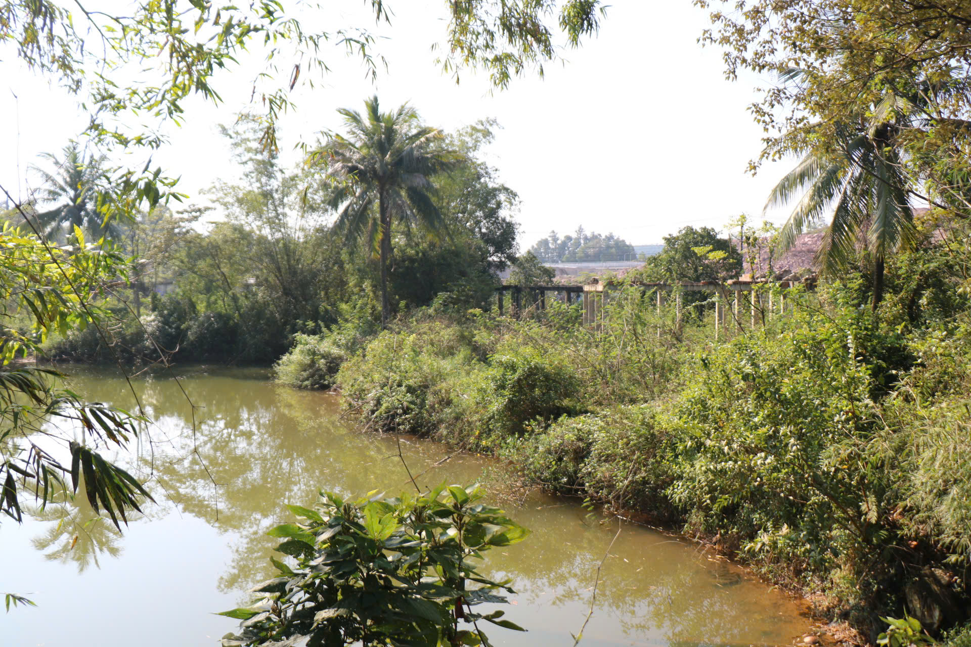 Cận cảnh khu đất sắp đấu giá làm dự án du lịch nghỉ dưỡng cao cấp ở Huế- Ảnh 5.