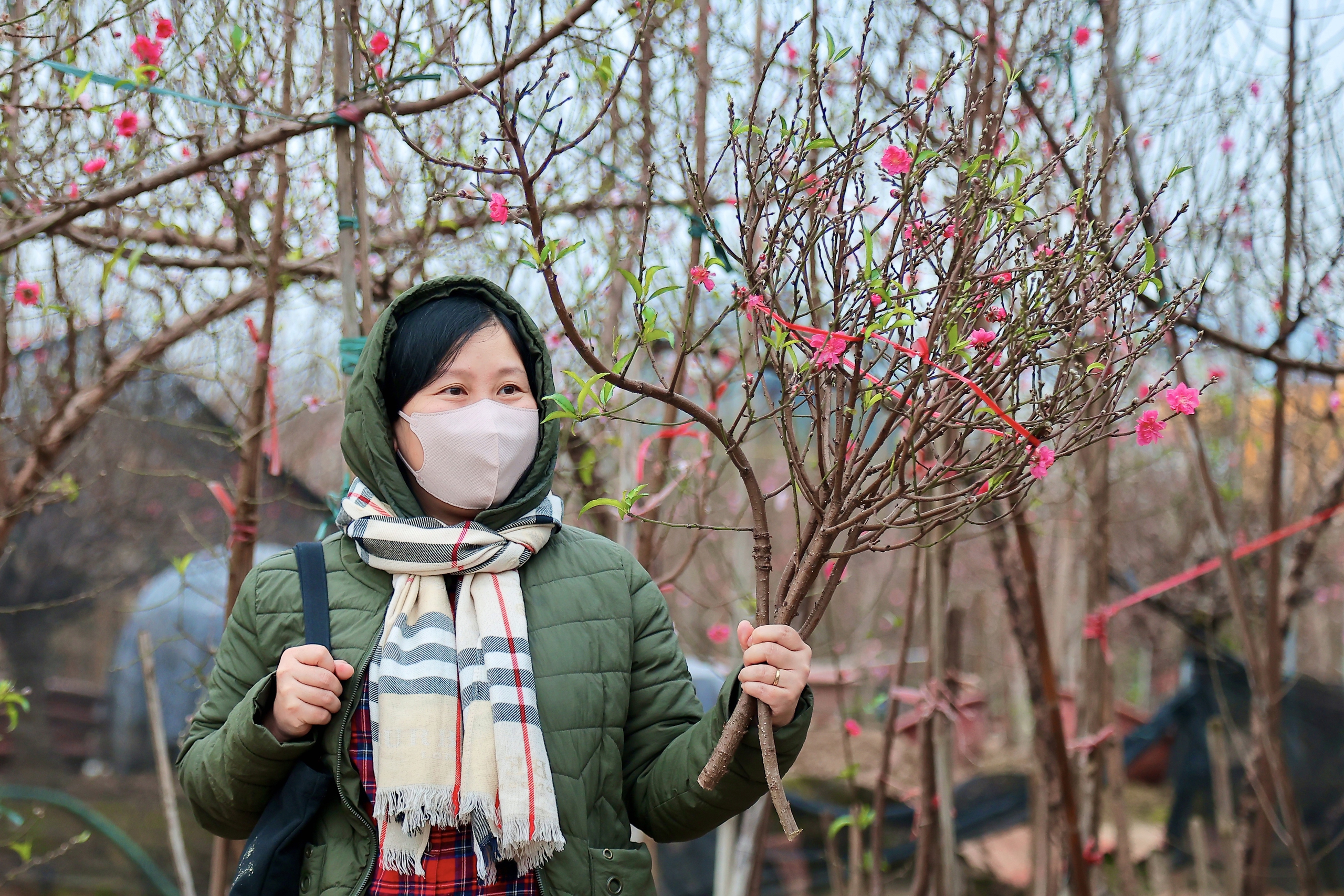 Cận Tết, người Hà Nội rộn ràng đi chọn đào, mua quất- Ảnh 5. Cận Tết, người Hà Nội rộn ràng đi chọn đào, mua quất- Ảnh 5.