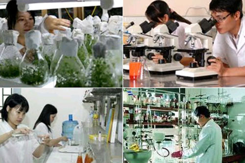 Bộ Tài chính tuyển chọn tổ chức, cá nhân chủ trì thực hiện nhiệm vụ KHCN cấp Bộ năm 2027- Ảnh 1.