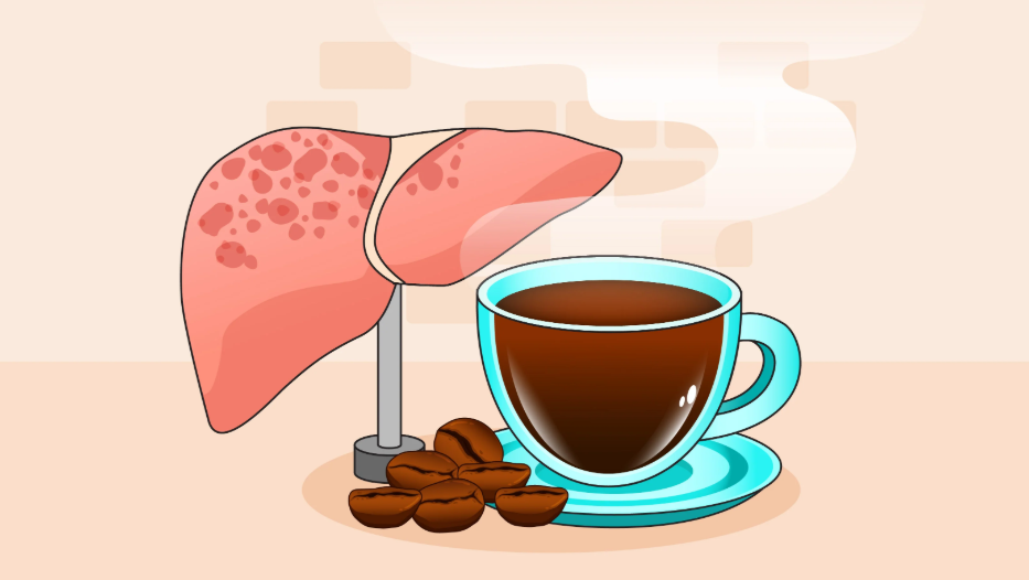 Một loại đồ uống quen thuộc hỗ trợ cải thiện gan nhiễm mỡ- Ảnh 1. 1