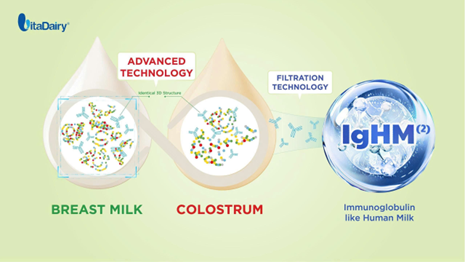 IgHM là gì?- Ảnh 2. IgHM là gì?- Ảnh 2.