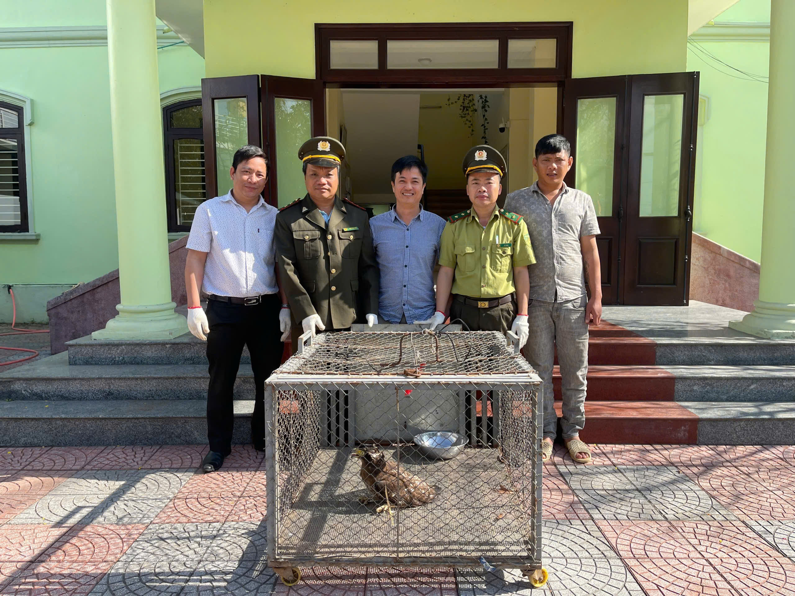 Tiếp nhận, tái thả nhiều cá thể động vật hoang dã quý hiếm ở Huế- Ảnh 1. Tiếp nhận, tái thả nhiều cá thể động vật hoang dã quý hiếm ở Huế- Ảnh 1.