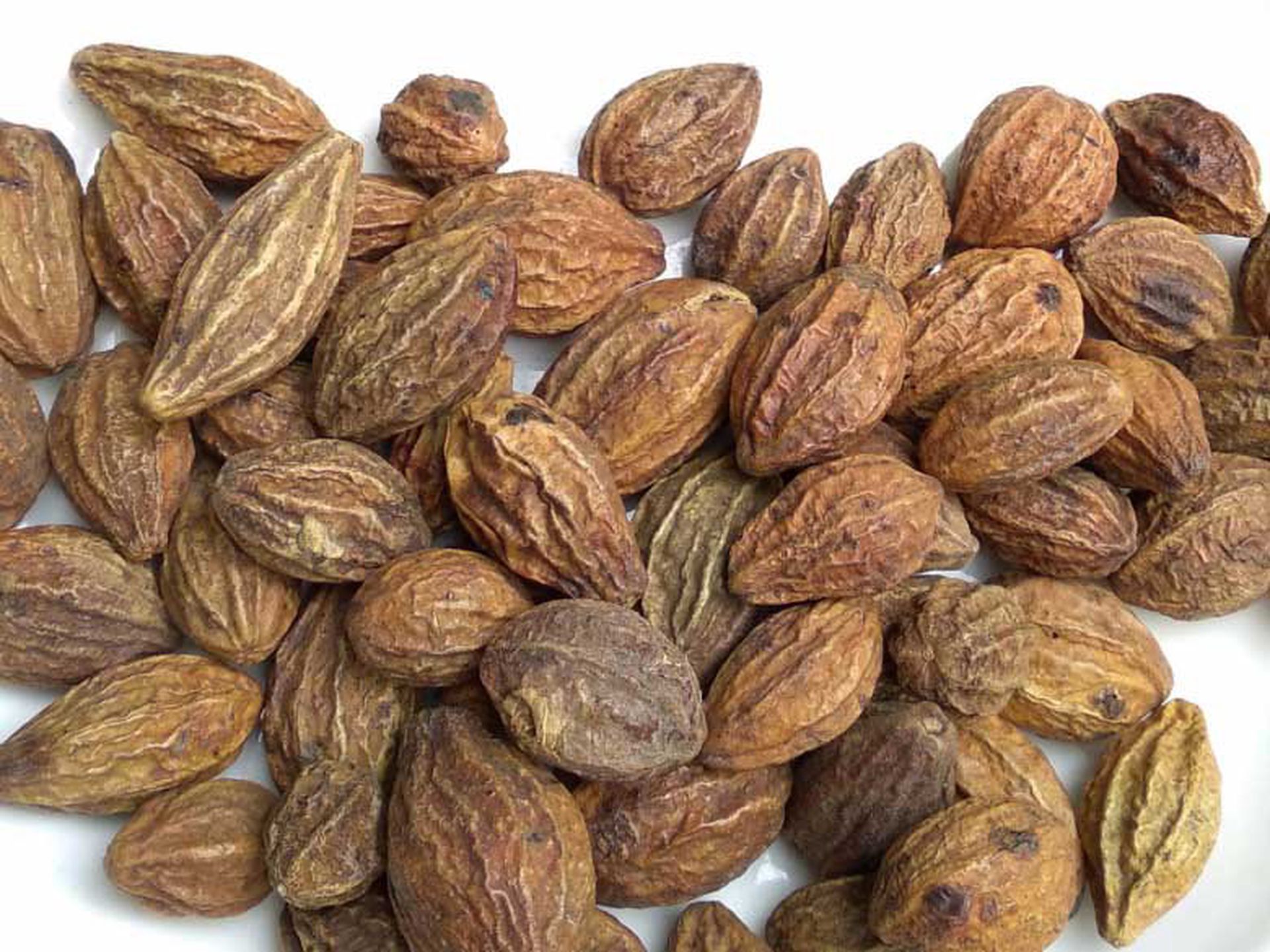 8 vị thuốc giúp giảm đau họng- Ảnh 8.