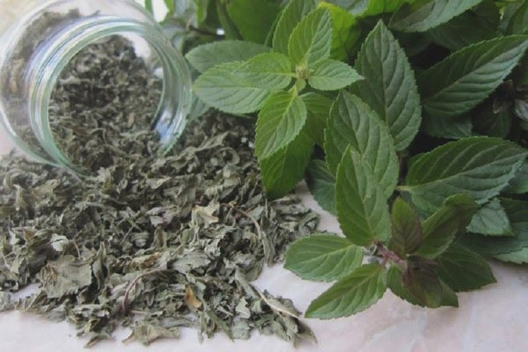 8 vị thuốc giúp giảm đau họng- Ảnh 6.