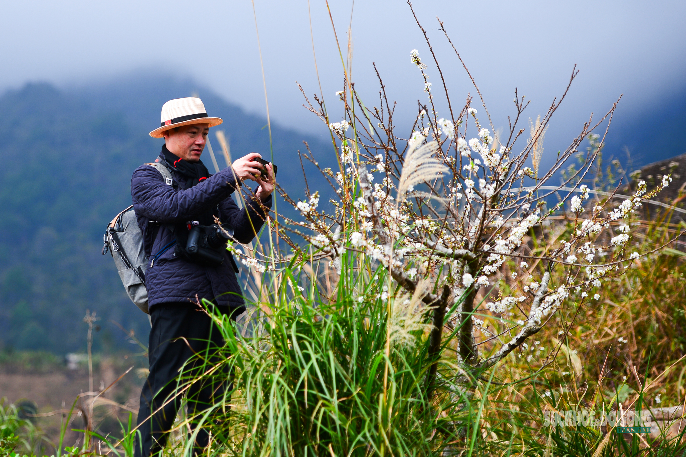 Bản Chu Va phủ trắng 'hoa tuyết'- Ảnh 3.