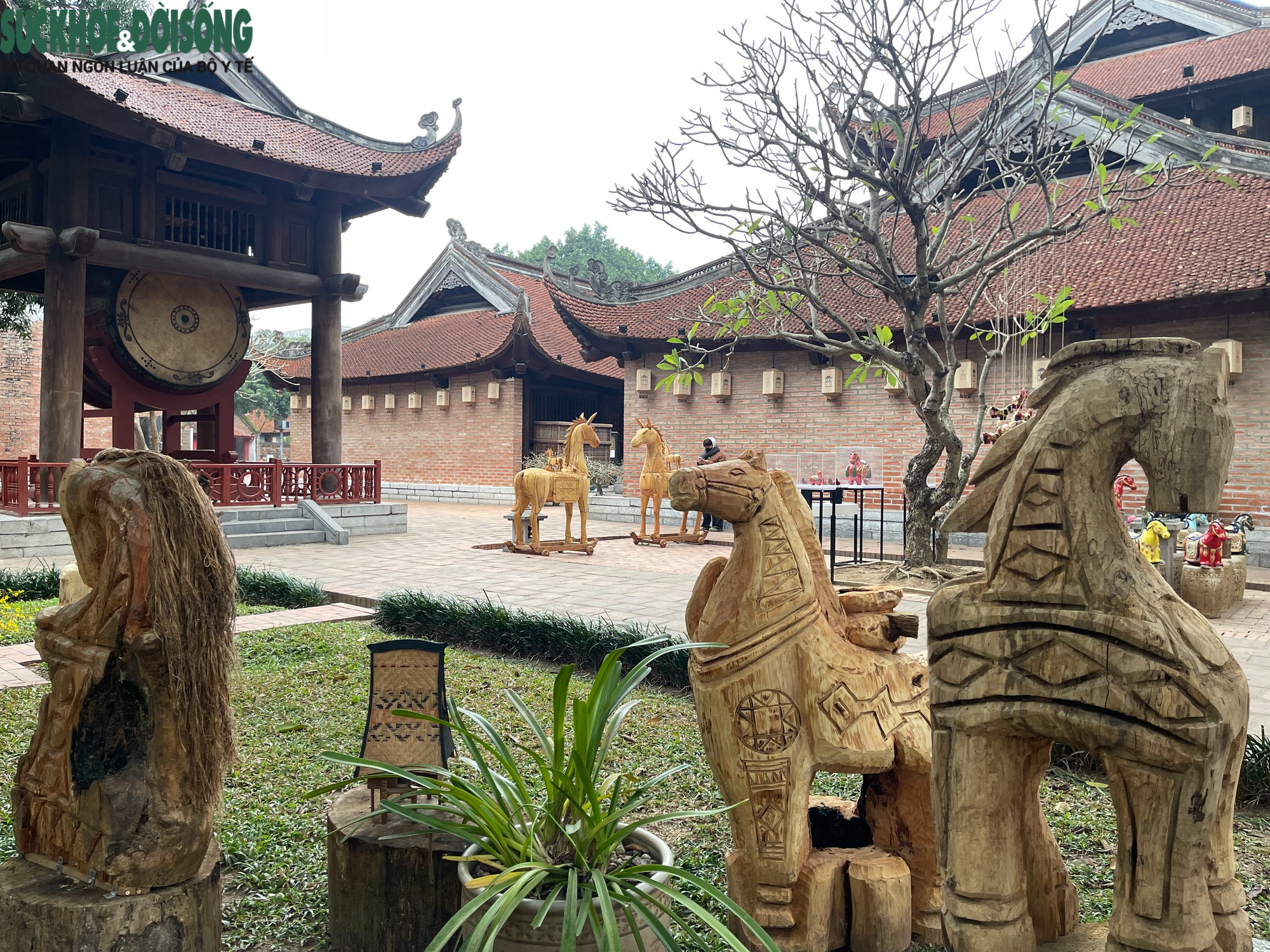 Cận cảnh bộ tượng ngựa độc bản Tây Nguyên chào Tết Bính Ngọ tại Hà Nội- Ảnh 4.