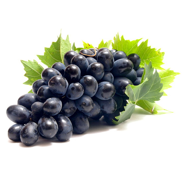 Những loại thực phẩm chống lão hóa tốt nhất cho da - Ảnh 2.