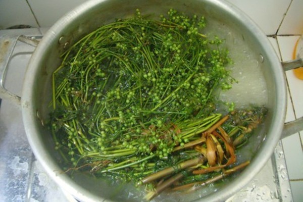 Tắm nước mùi già có tác dụng gì?- Ảnh 1.