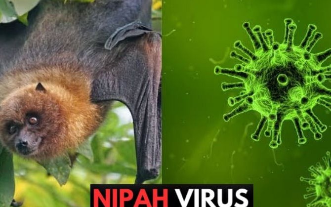 Bộ Y tế hỏa tốc nhắc các cơ sở khám chữa bệnh chủ động phòng chống bệnh do virus Nipah